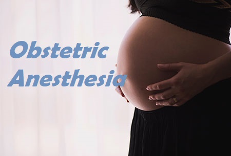 Obstetric Anesthesia 